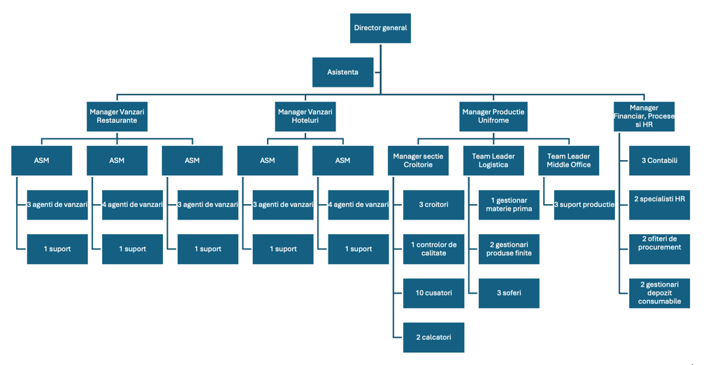Organigrama companiei Horeca SRL